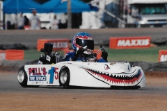 LS_gokarts_big